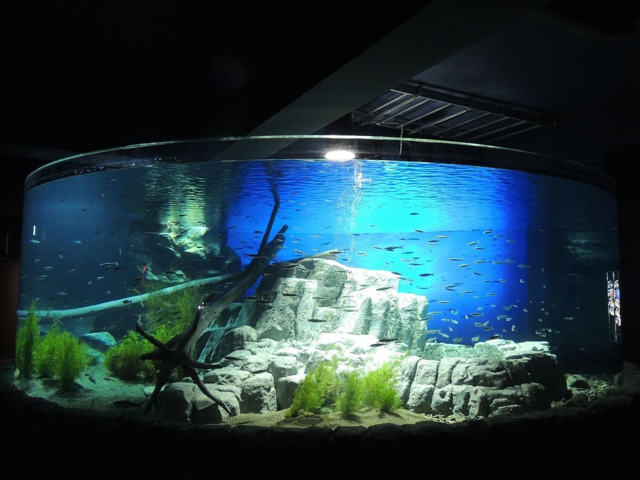 千岁水族馆