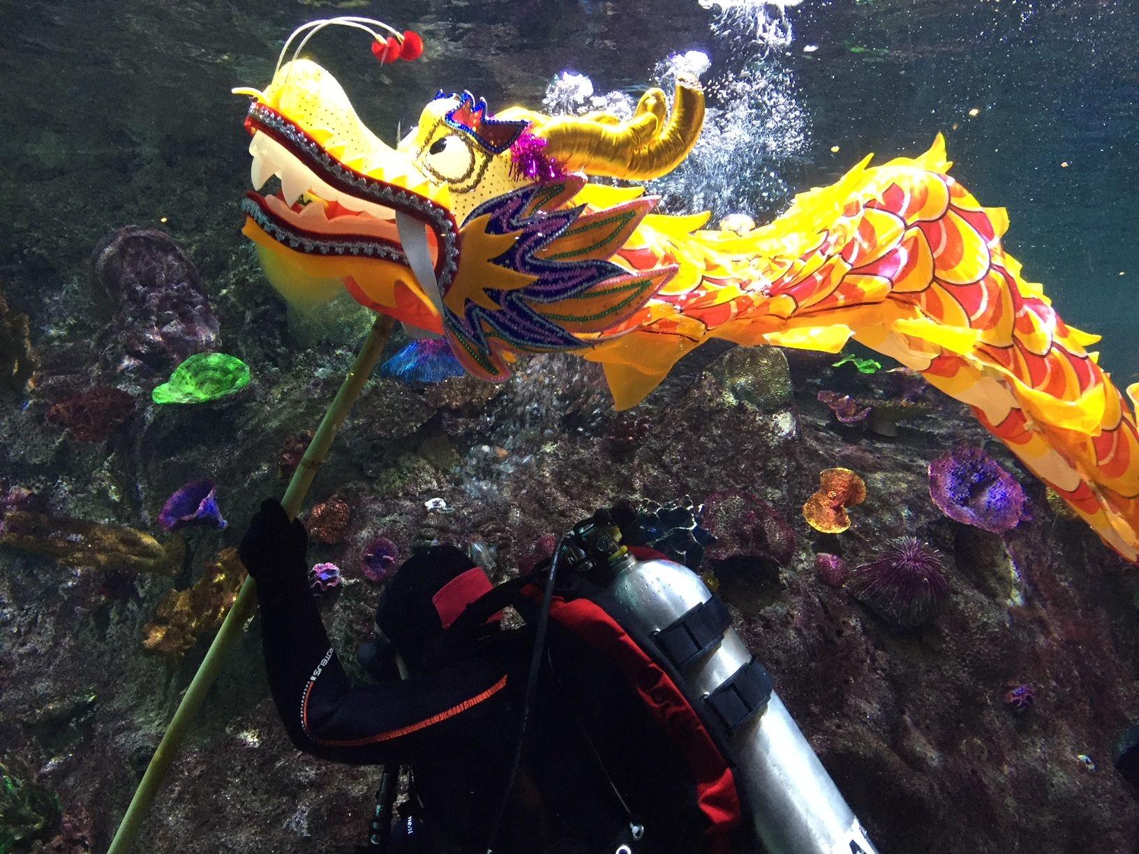 墨尔本水族馆