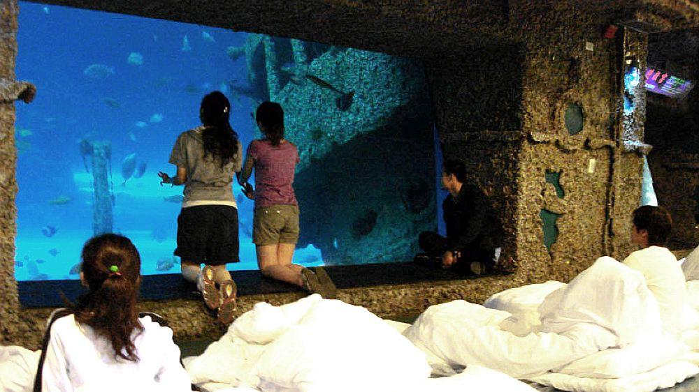 台湾海洋生物博物馆