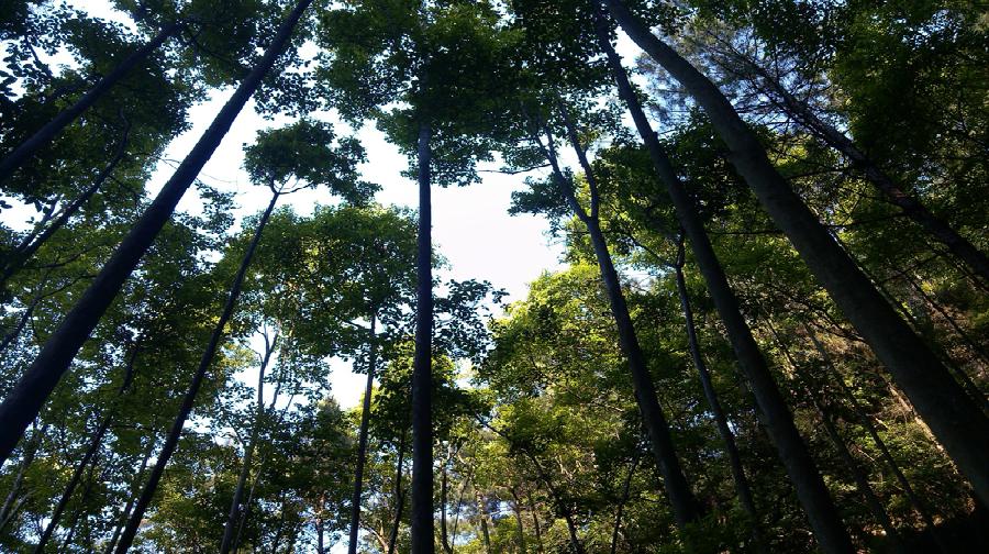巴中章怀山旅游区