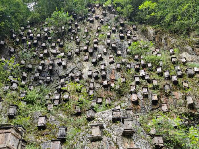 神农架风景区门票-去哪儿网门票预订