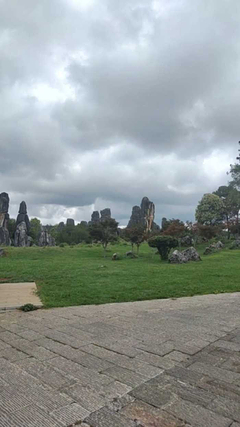 昆明石林 九乡风景名胜区一日游【二环内上门接|4000 好评-臻选无购物