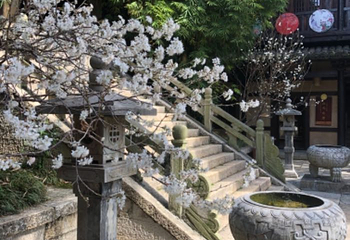 昭君故里文化旅游区第 41 张图片