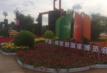 银川花博园第 46 张图片
