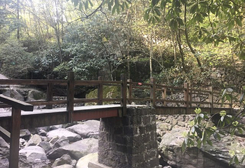 安吉龙王山风景区第 18 张图片