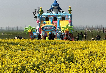 常阴沙生态农业度假区第 8 张图片