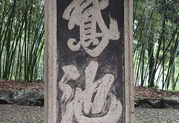 百草园第 19 张图片