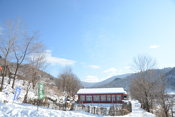 雪乡大雪谷第 3 张图片