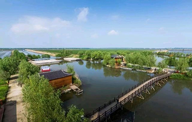 高邮湖芦苇荡湿地公园第 48 张图片