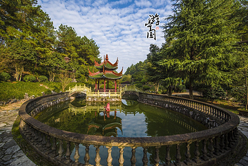 中华龙乐园第 51 张图片
