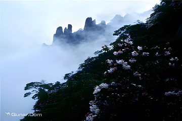 三清山风景区第 23 张图片