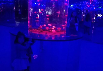 兰州极地海洋世界第 27 张图片
