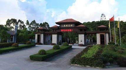 青岚怪臼谷国家地质公园第 68 张图片