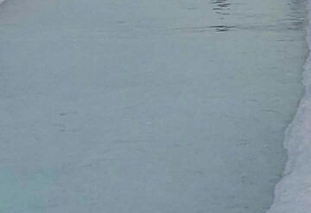 鹤鸣湖湿地温泉度假区第 26 张图片