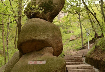 大龙山乌龙溪景区第 12 张图片