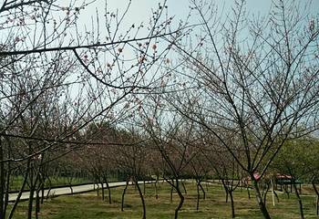 福友生态农场第 22 张图片