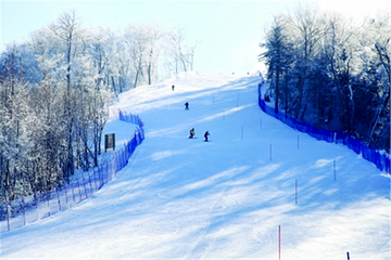 长白山高原冰雪运动训练基地第 7 张图片