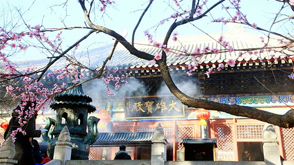 红螺寺第 185 张图片