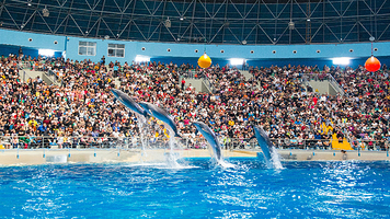 泉城欧乐堡海洋极地世界