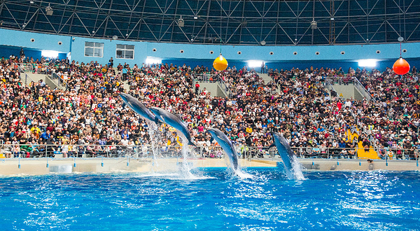 泉城欧乐堡海洋极地世界