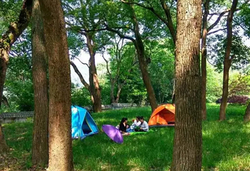 花乡茶谷旅游景区第 87 张图片