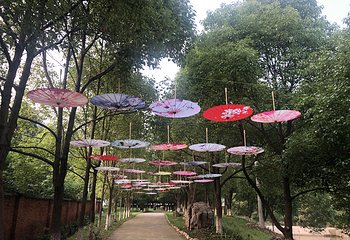 三峡水乡风景区第 24 张图片