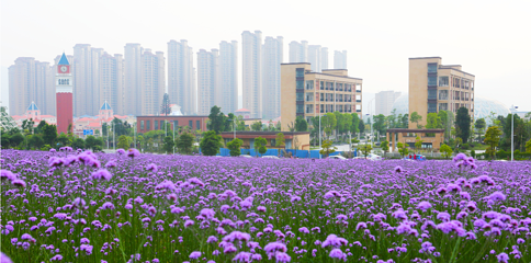 贵安花海拓展公园第 11 张图片