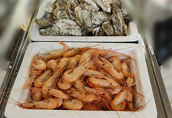 千岛湖梦想扬帆系列游船第 32 张图片