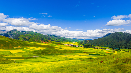祁连山风光旅游景区第 6 张图片