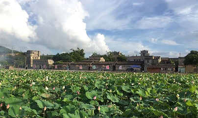 凤仪里碉楼群第 6 张图片