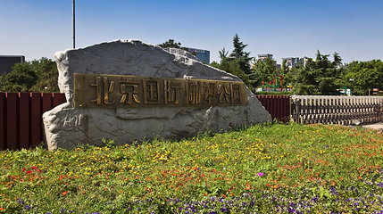 北京国际雕塑公园第 1 张图片