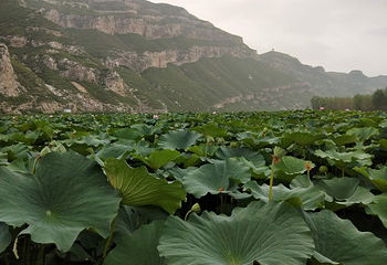 依湾农家风景区第 10 张图片