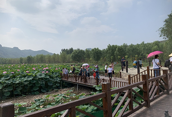 依湾农家风景区第 11 张图片