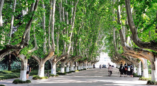 扬州大学(荷花池校区)