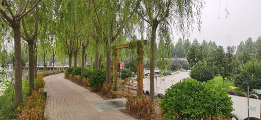 杨家寨主题乐园第 15 张图片