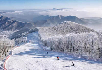 中旅松花湖滑雪场第 14 张图片