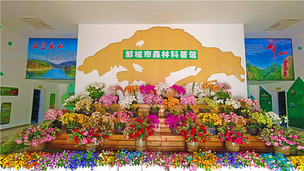 康王谷景区第 51 张图片