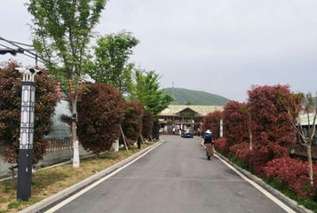 丰硕农场第 1 张图片