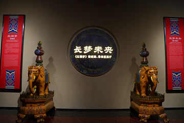 江苏园博园-珍宝博物馆第 36 张图片