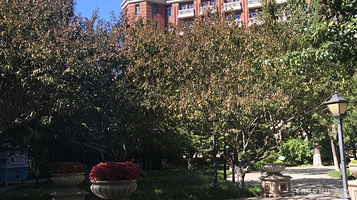 维多利亚公园(解放北园)