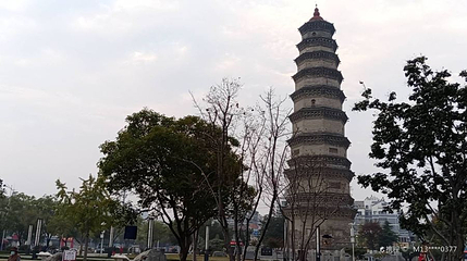 龙泉塔第 1 张图片