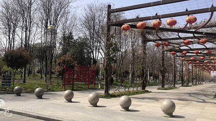 沙河市人民公园第 2 张图片