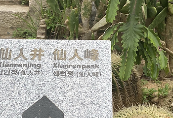 仙人井第 8 张图片