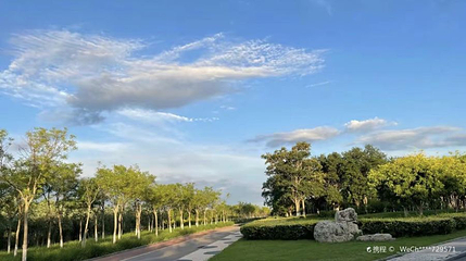 东丽湖生态体育公园第 1 张图片