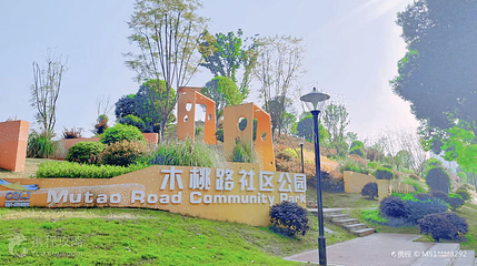 木桃路社区公园第 3 张图片