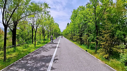 宁湖湿地公园第 1 张图片