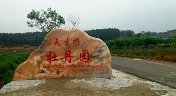 南京天生桥牡丹园