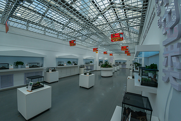乌鲁木齐市植物园第 18 张图片