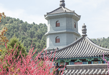 玉华宫景区第 19 张图片