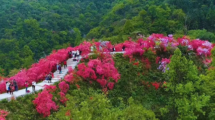 天峡第 69 张图片